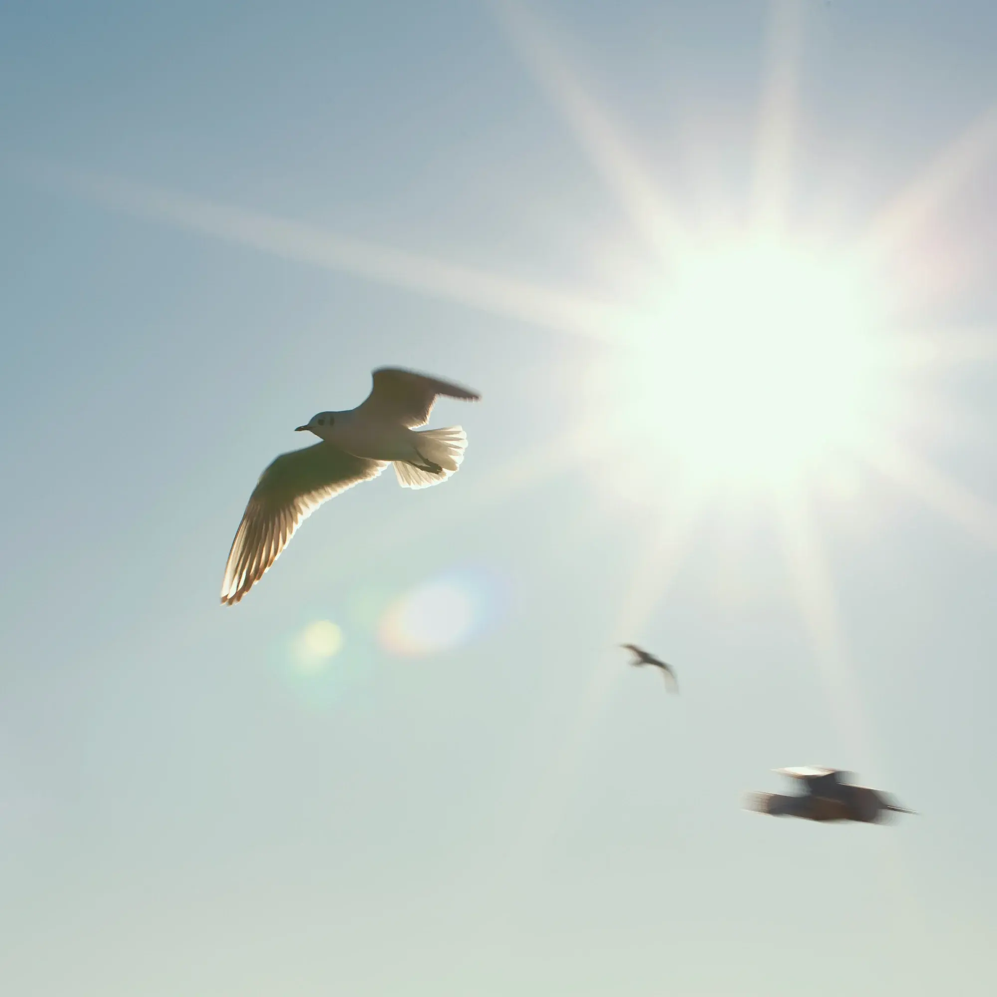 tschernjawski-sergej-lNibrl5n_kw-unsplash2 tschernjawski-sergej-lNibrl5n_kw-unsplash2